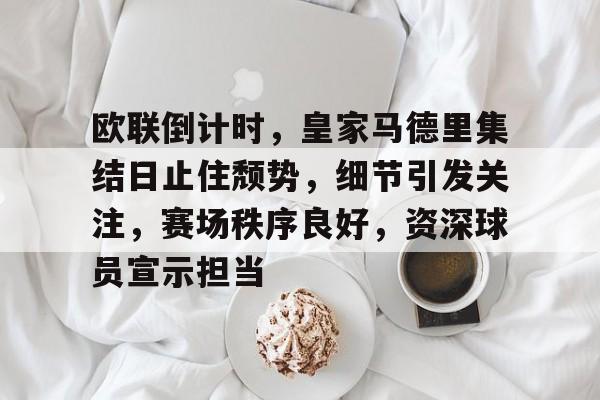 爱游戏-包含欧联倒计时,皇家马德里集结日止住颓势,细节引发关注,赛场秩序良好,资深球员宣示担当的词条